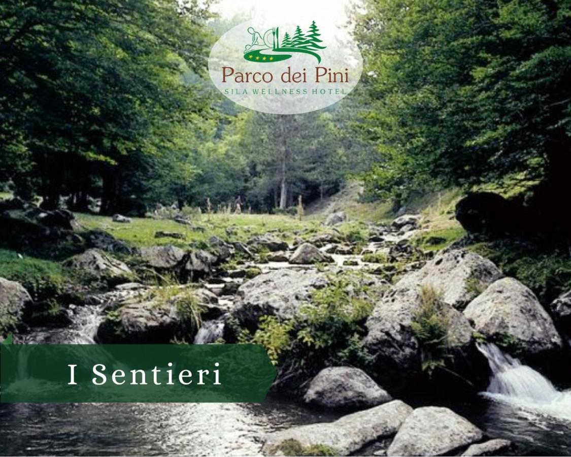 Parco Dei Pini - Sila Wellness Hotel Taverna  Exterior foto