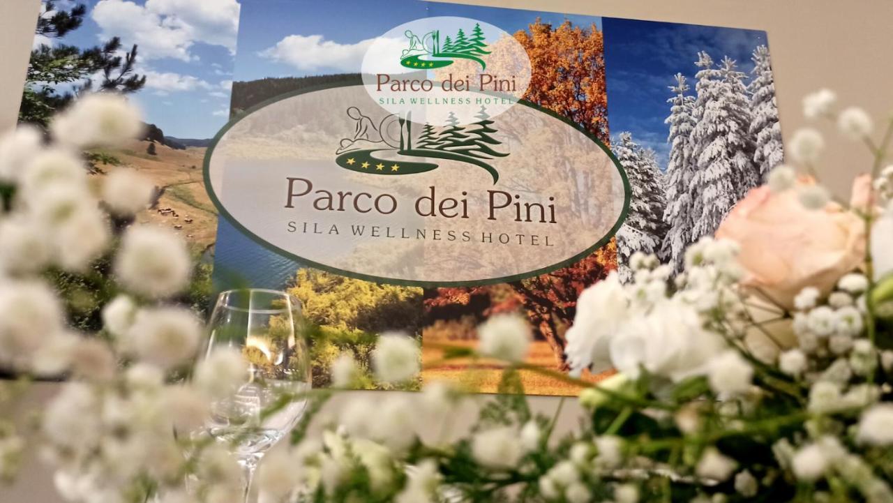 Parco Dei Pini - Sila Wellness Hotel Taverna  Exterior foto